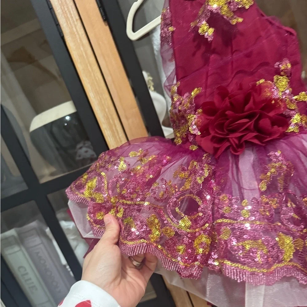 Revolution Fairy Maroon Ballet Dance Costume Sequined burgundy toddler tutu